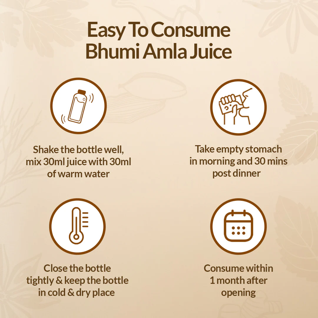Bhumi Amla Juice - Image 5
