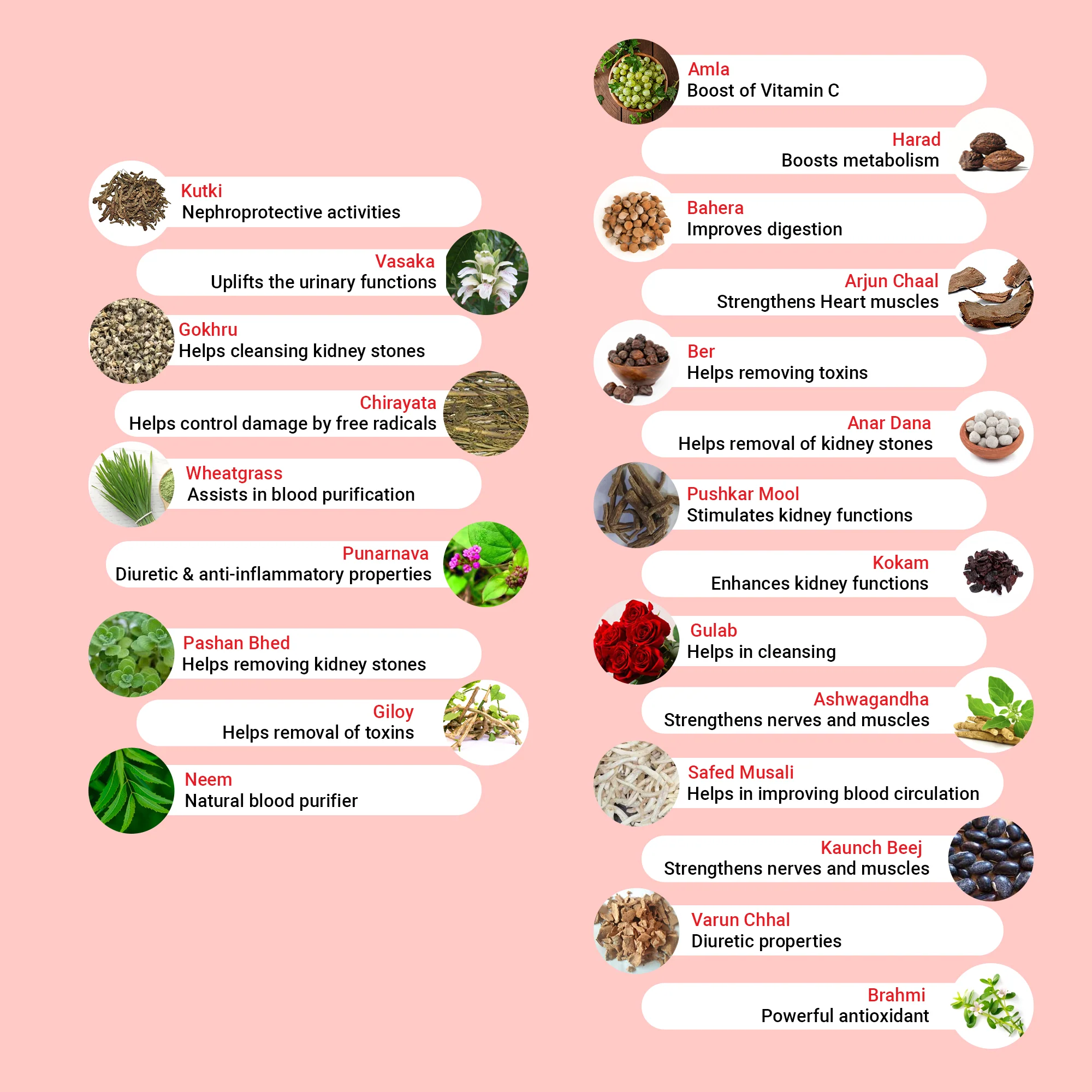 Kidney Re-live Tablet - Image 3