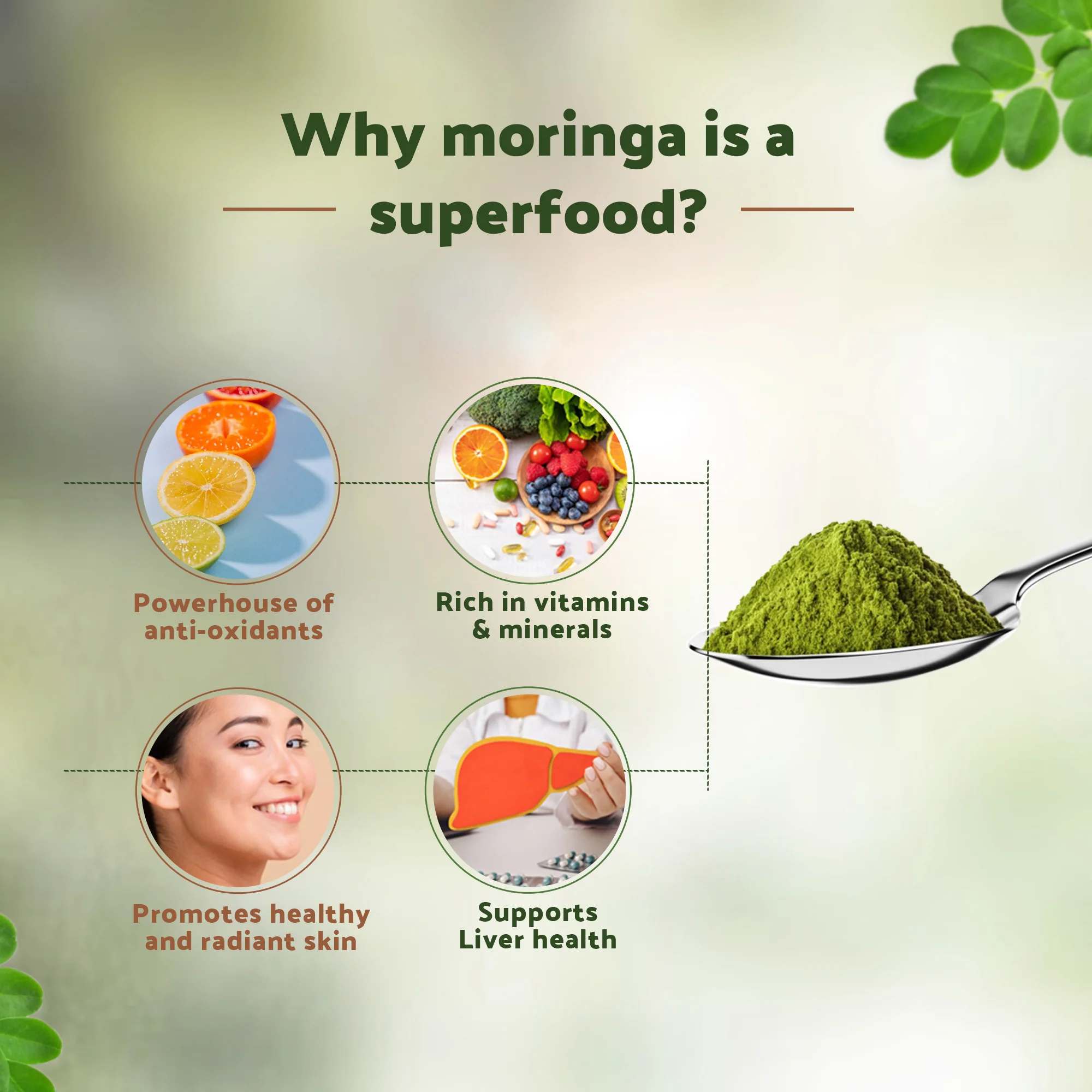 Moringa Powder - Image 5