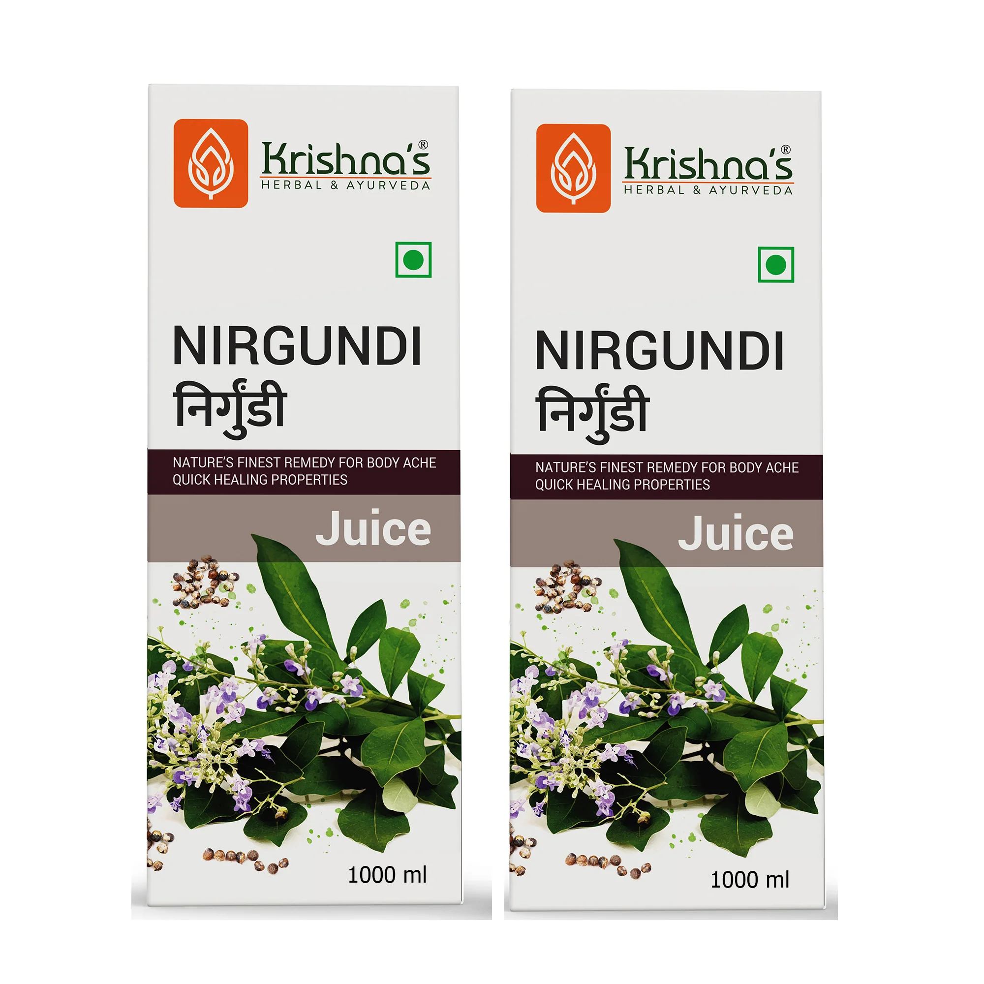 Nirgundi Swaras - Image 12