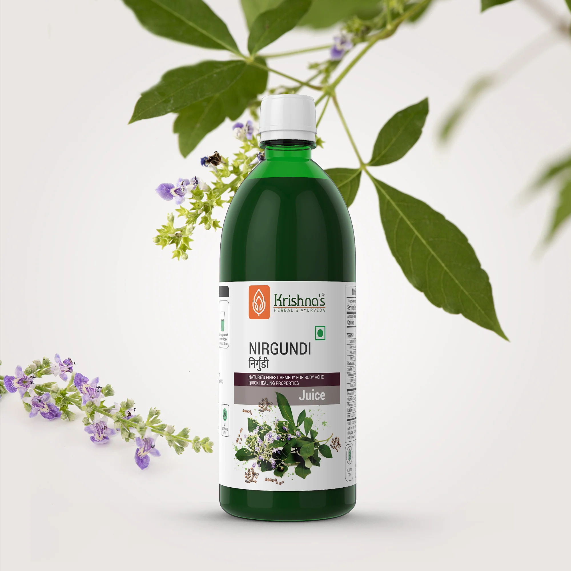 Nirgundi Swaras - Image 4