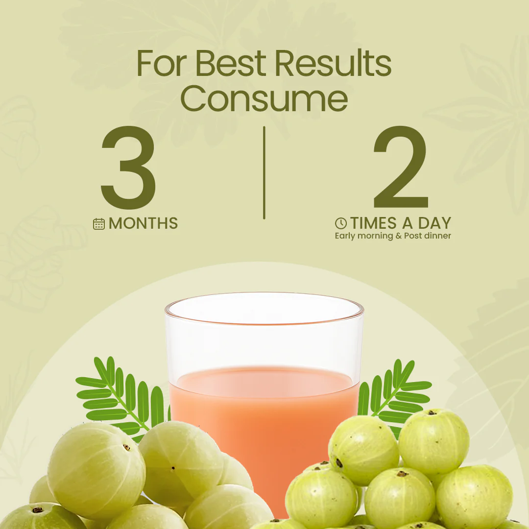 Premium Amla High Fiber Juice - Image 7