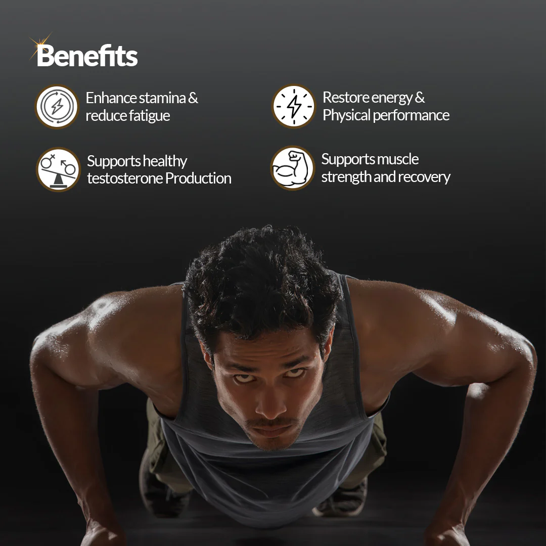 Shilajit Gold Plus Resin - Image 3